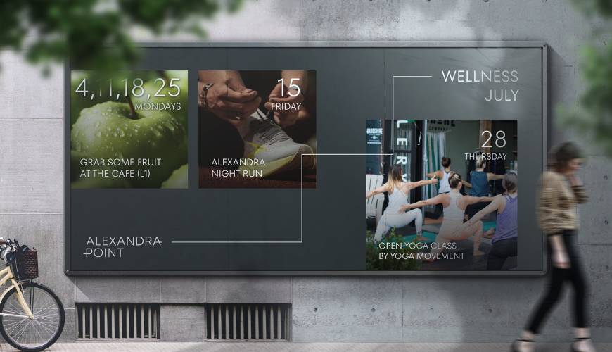 佳县画册设计公司如何进行品牌审核